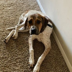 Meet your Posher, Allure